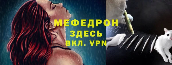 твердый Касимов