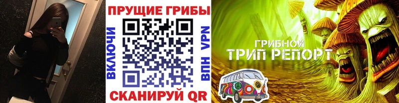 Купить закладки  Ростов  Галлюциногенные грибы Psilocybine cubensis 